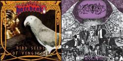 Hatebeak : Birds Seeds of Vengeance